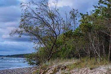 建站之星网站 轻松搭建个性化网站 告别技术难题