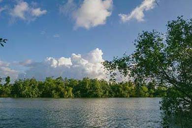 织梦DedeCMS手机网站制作教程 5步轻松搞定